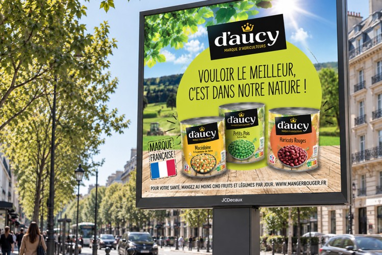 d’aucy