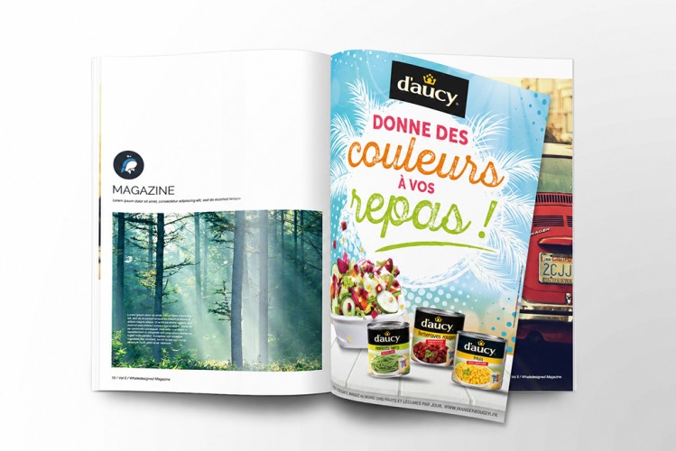 d’aucy